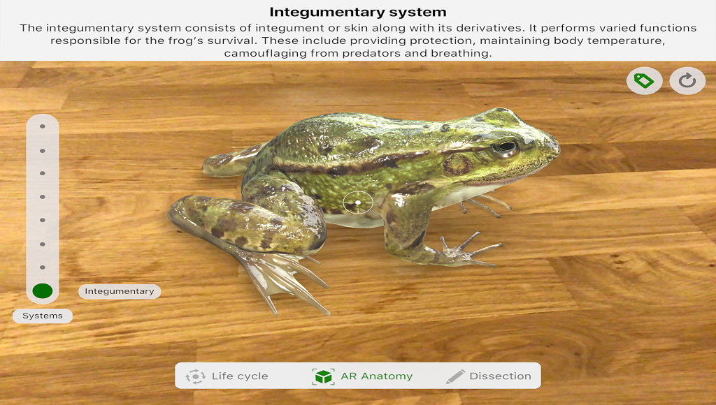 Froggi_Vorschau