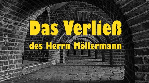 Das Verließ des Herrn Möllermann: Ein digitaler Physik-Escape-Room