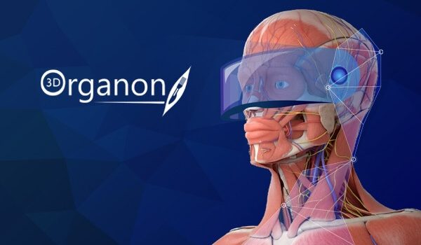 3D Organon VR Anatomy